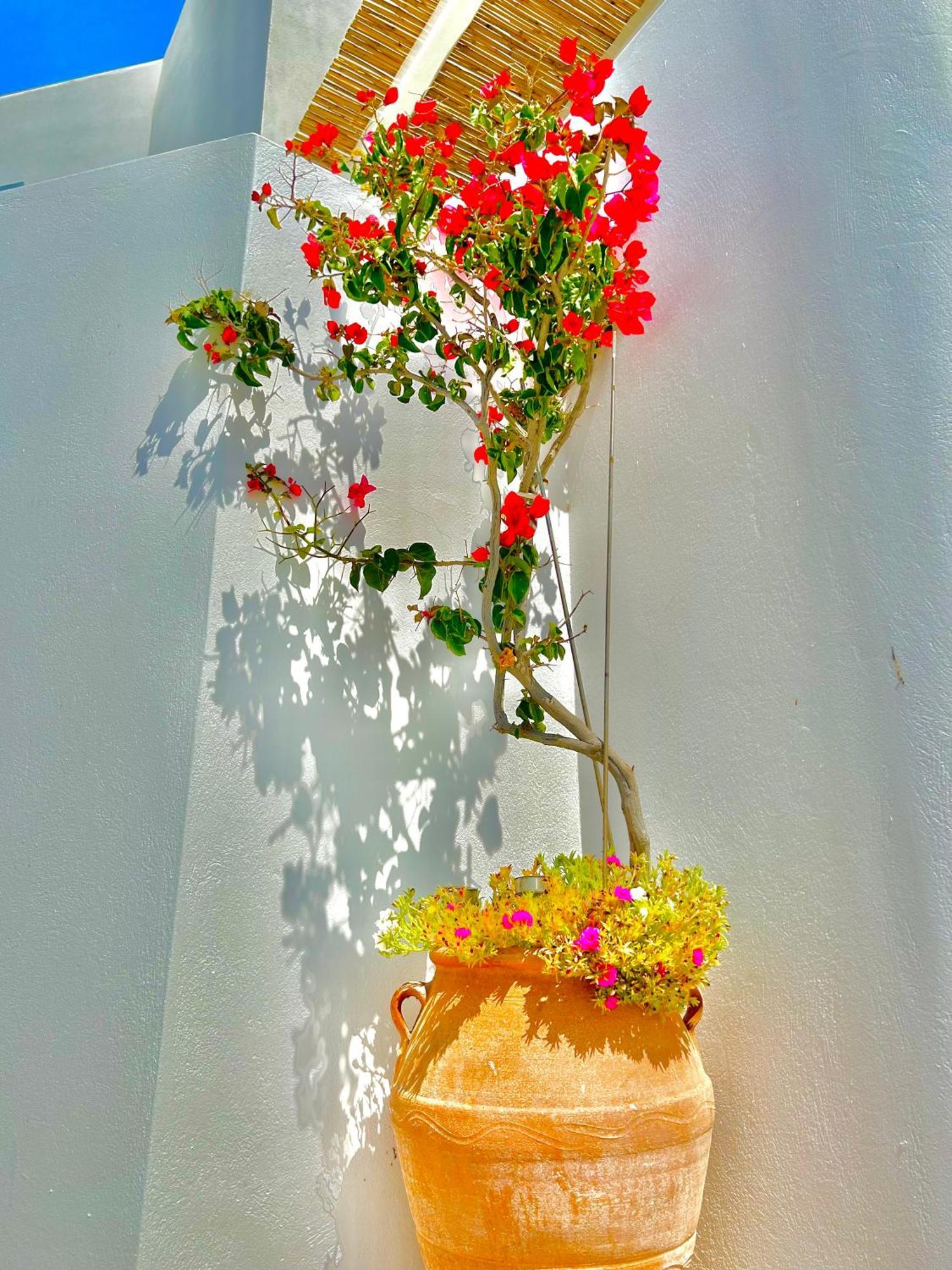 Anita Rooms & Suites Milos Adamantas  Bagian luar foto