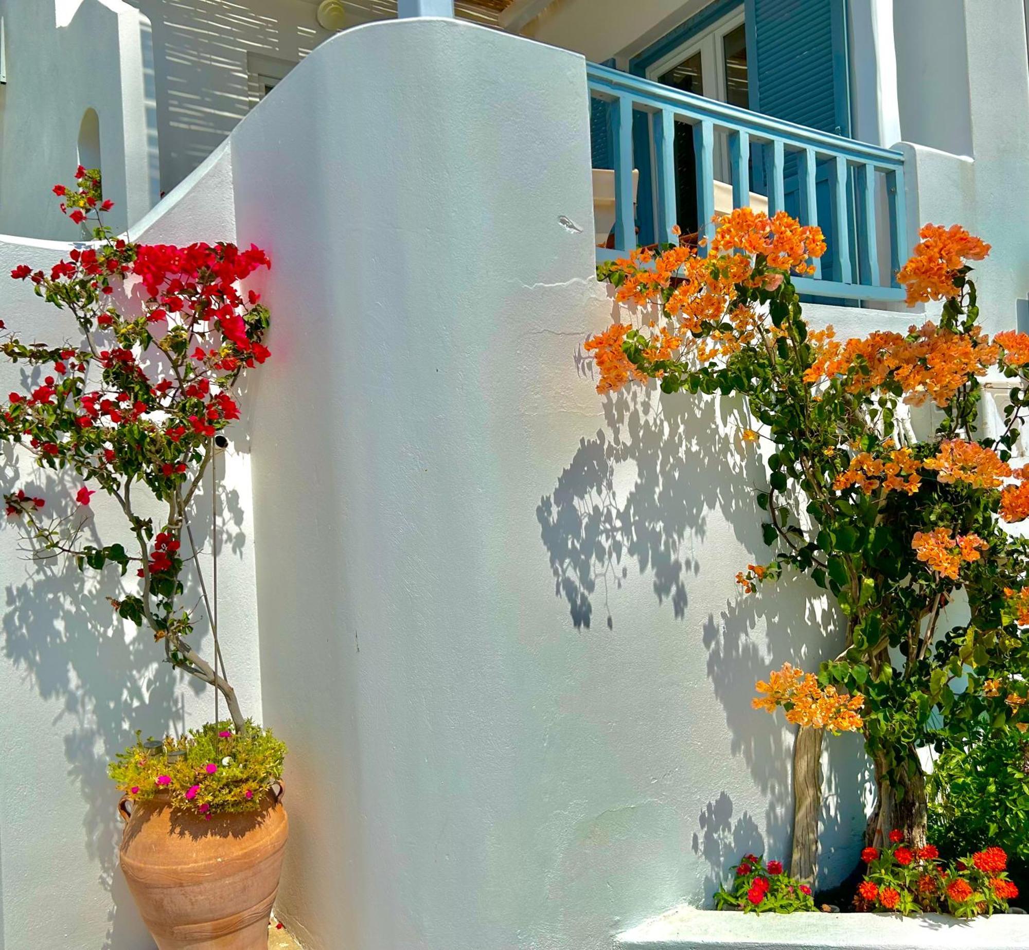 Anita Rooms & Suites Milos Adamantas  Bagian luar foto
